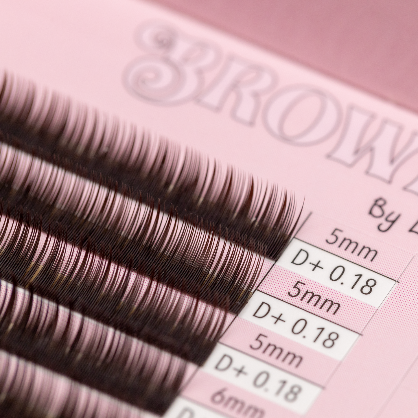 Brownie Glaze Lash Tray - Dark Brown Lashes- Mixed Length